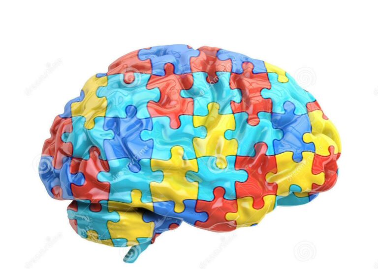 Como funciona o cérebro de um autista » Viva Autismo